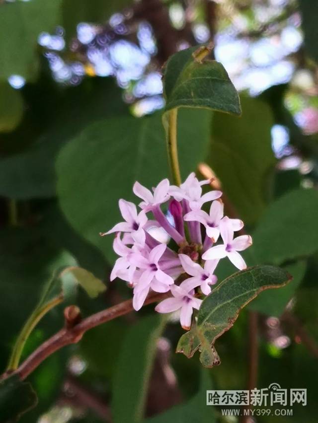 复合大作战 视频缩略图