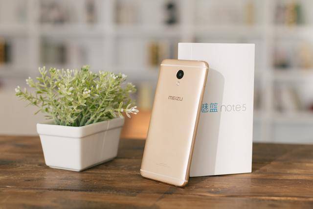 伊丽莎 施莱辛 不同的动物 视频海报