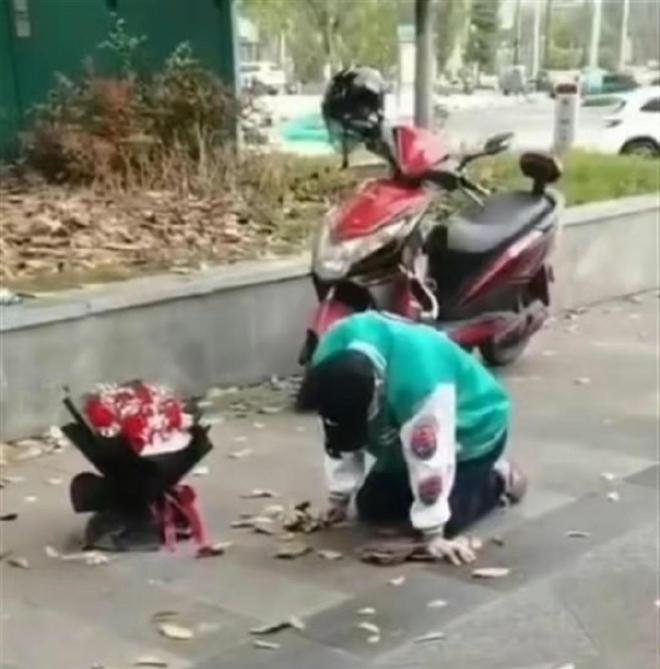 你好，树公主 视频缩略图