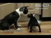 向右看 视频缩略图