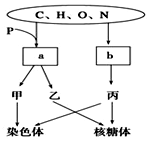 你的微笑 视频海报