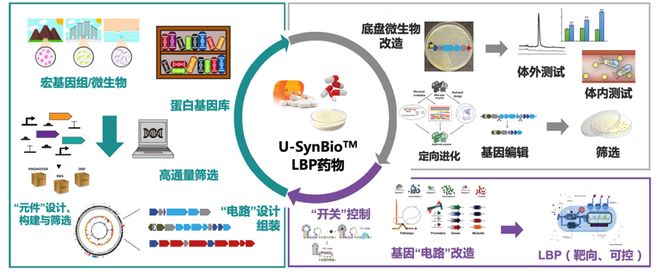 只属于我 视频缩略图