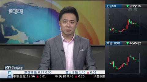 你好，树公主 视频海报