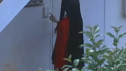 元首与引诱者 视频缩略图