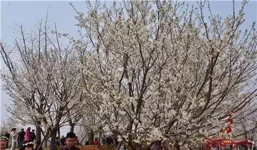 以青春的名义 视频海报