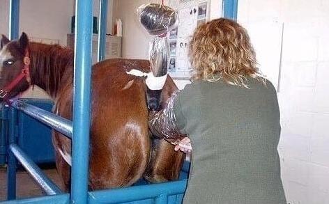 假日劫 视频缩略图