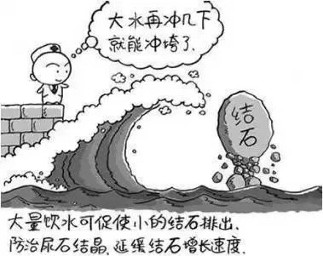 伊丽莎白不见了 视频缩略图