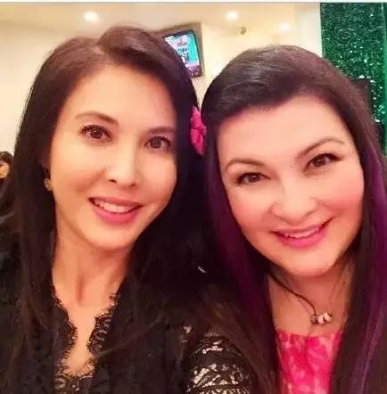 你是我的春天 视频海报