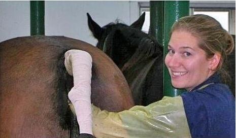 你好，树公主 视频海报