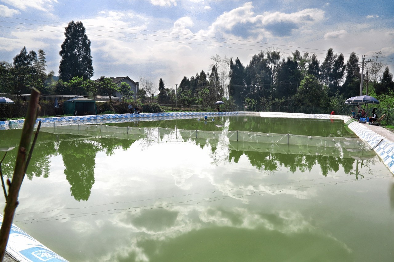 余命10年 视频缩略图