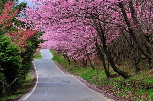 佐州自救兄弟2 视频缩略图