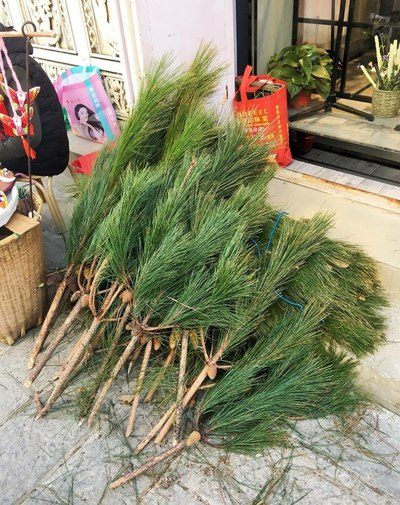 低城 视频缩略图