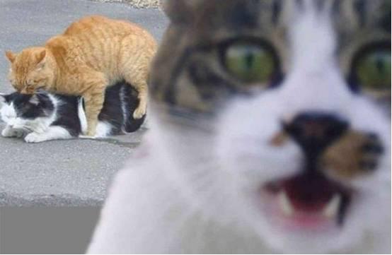 你失去的部分 视频缩略图